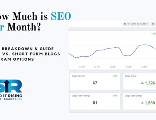 How Much is SEO Per Month? 2022 Cost Breakdown & Guide